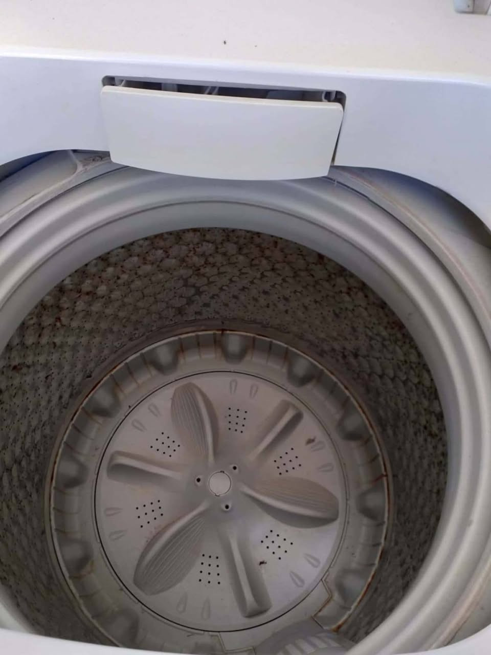 اغراض للبيع كلمن وسعره


**إذا كنت صاحب هذا الإعلان وتريد حذفه لأي سبب، رجاءا أرسل رسالة إلى الدعم الفني**