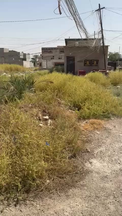 السلام عليكم قطعه أرض للبيع مساحته ٥٠٠م واجها ٢٥م ونزال ٢٠م مكانها مقابيل مرور الحسينيه بقرية جواد الفياض خلف مطعم ابن سمينه السياحي تبعد عن الشارع العام ٥٠٠م فقط تتوفر كافة الخدمات وشروط السكن مي حلوه وخابط وكهرباء ٣خطوط وانترنت وتبليط ومجاري جنس العقار ملك صرف زراعي سند ٢٥ سعرها ٧٥مليون وقابل للتفاوض للإستفسار الاتصال ***********سيد قاسم
