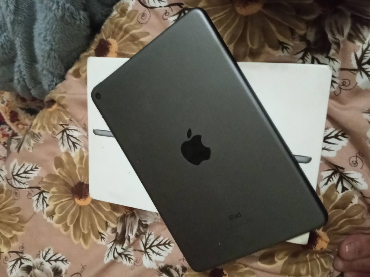 ايباد مني 5 ذاكره 64 بطاريه 92 كامل ملحقاته باكيت وشاحنه الاصليه سعر 225 وبي مجال عنوان بغداد العامريه شراي خاص


**إذا كنت صاحب هذا الإعلان وتريد حذفه لأي سبب، رجاءا أرسل رسالة إلى الدعم الفني**