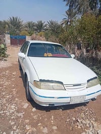 برنس فراشة • كير اوتو • رقم واسط