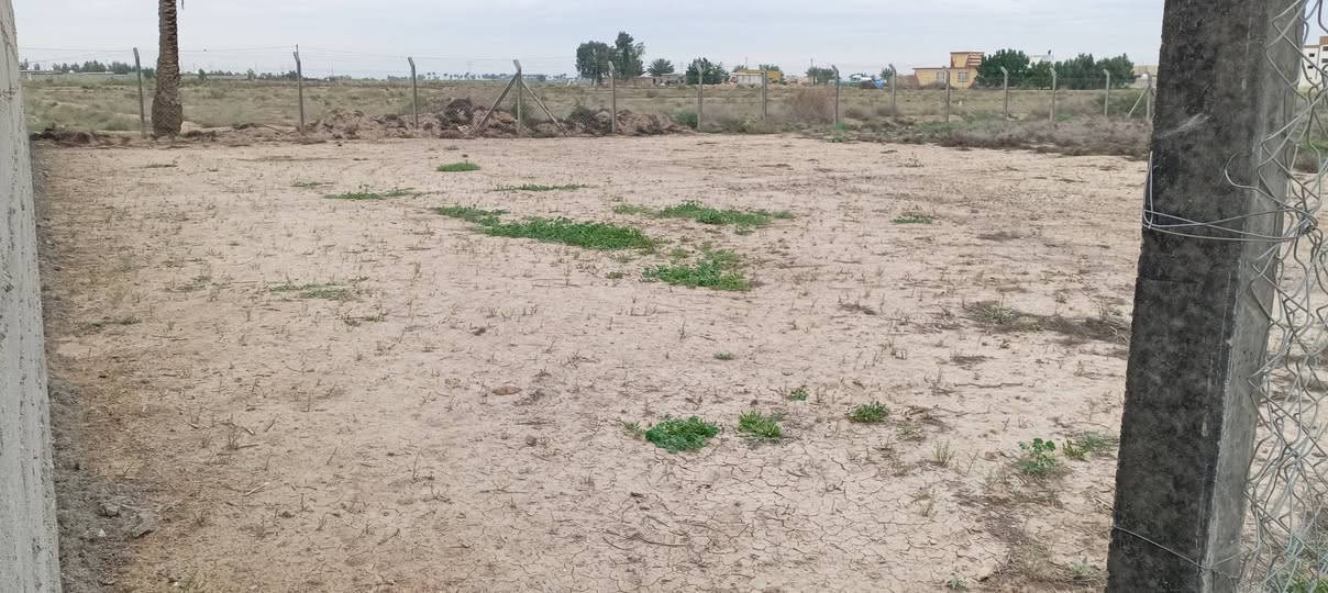 سلام عليكم قطعة ارض للبيع مساحه 500 متر  زراعي سند 117مكان واسط العزيزية مقابل السوس مجاور الشقق السكنيه للستفسار الانتصال على رقم الهاتف ***********
