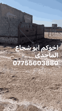 يالله سلام عليكم نصف دونم لبيع سعره كلش مناسب الله شاهد جوه السوك بهواي العنوان بغداد الحميديه شارع سيد عوده طابو زراعي إلا ستفسار ***********
