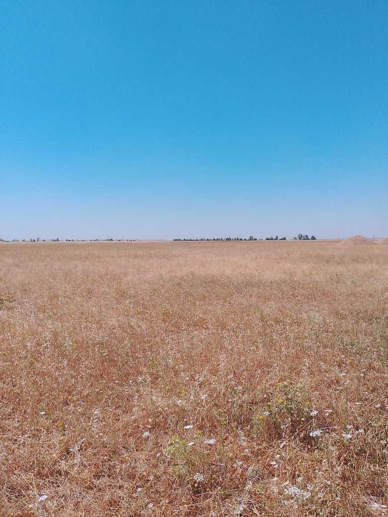 قطعه الارض للبيع زراعي مساحه ٦ دونم في كركوك ليلان بعد جامع محمدي مسافه من شارع رئيسي بس كاع بدون اي شي وينباع كامل سعره دونم واحد ٤ ملاين للمزيد من المعلومات اتصال على رقم مبايل ***********
