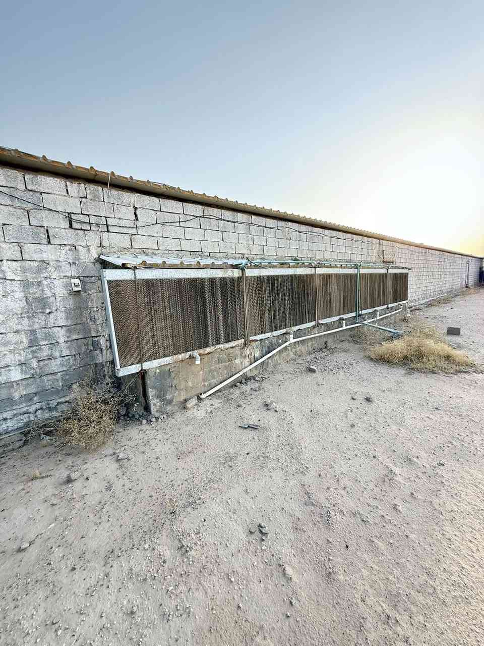 حقل دواجن للبيع او الايجار
جاهز للعمل اوتماتيك كهرباء وطني مولدات عدد ٢ 
مكانه نجف شارع الديوك 
***********
