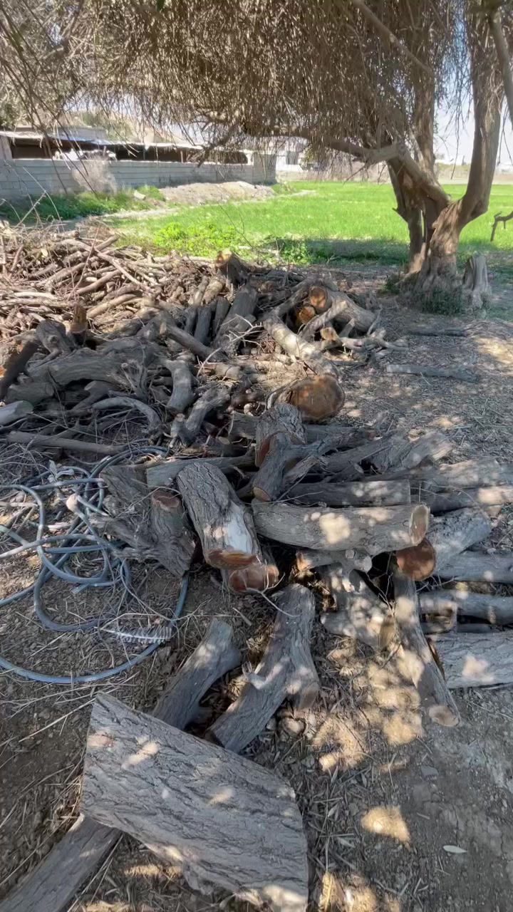 خشب للبيع / الاتصال على الرقم *********** واتساب
