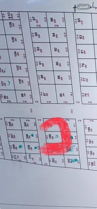 طابو زراعي • ١٠٠م • حي بدر المحموديه