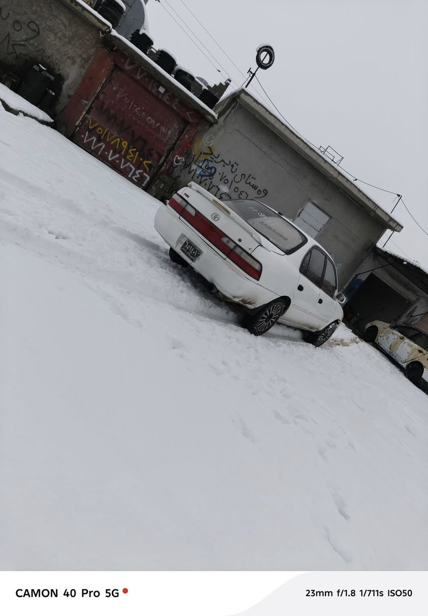 ***********سلاو هاو ڕئیان ئە م کرۆلایە بۆفرۆشتن ئاڕم پلاستیک سلئمانی مۆدیل 1994هە مو گیانی بە شە رت
