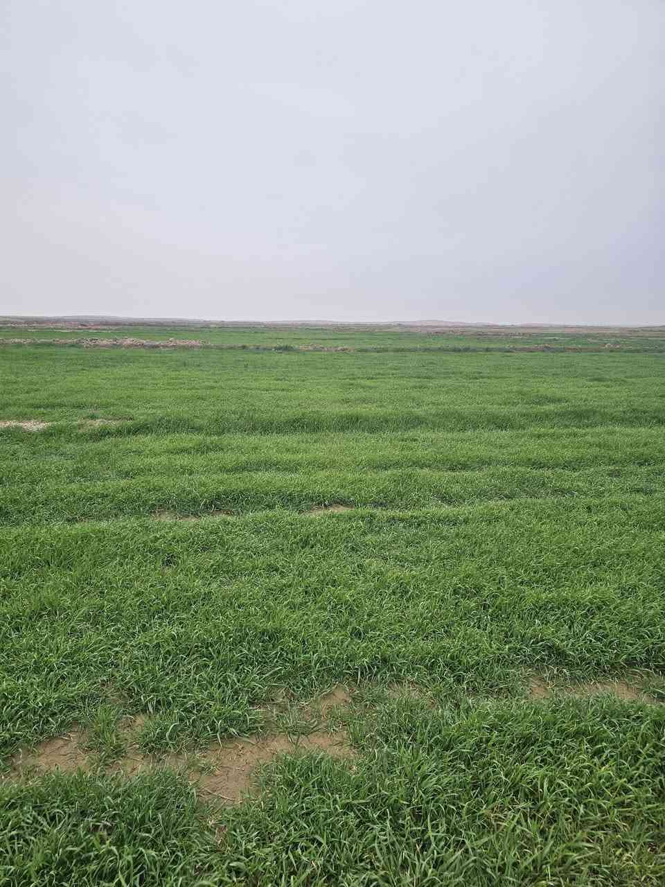 جاير للبيع ٥٢٥دونم قرب منطقة الشوملي مكلف بنشر
الاتصال على صاحب رقم
***********
