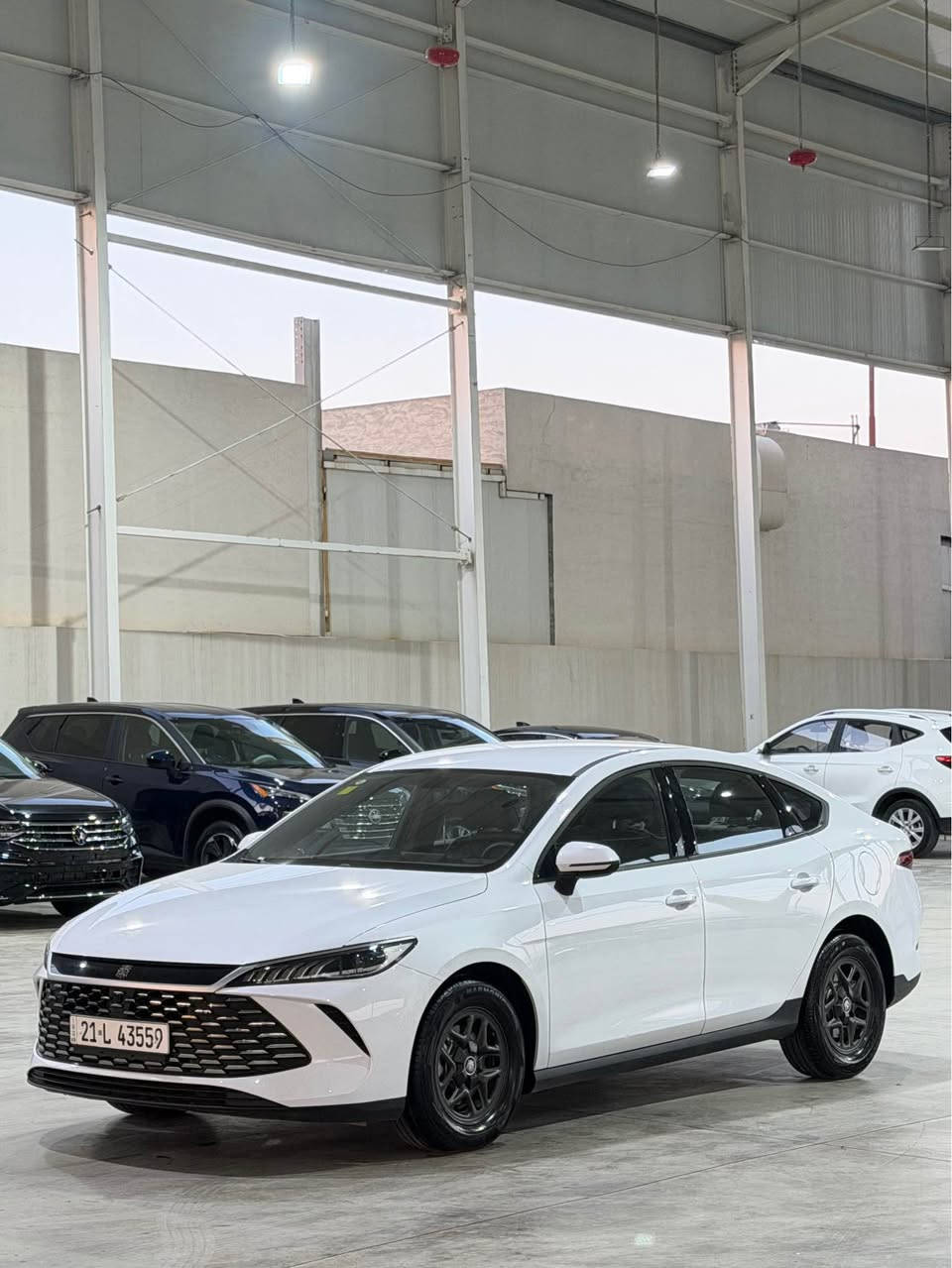 BYD2025
9000ڕۆشتووە
سەیارەکە هیچی پێوەنیە
نرخی:134
شوێن سلێمانی
*********** السليمانية, العراق
