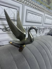 طيره للبيع ‭0 775 031 1550‬