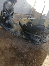 فراشه • شغاله • هندر