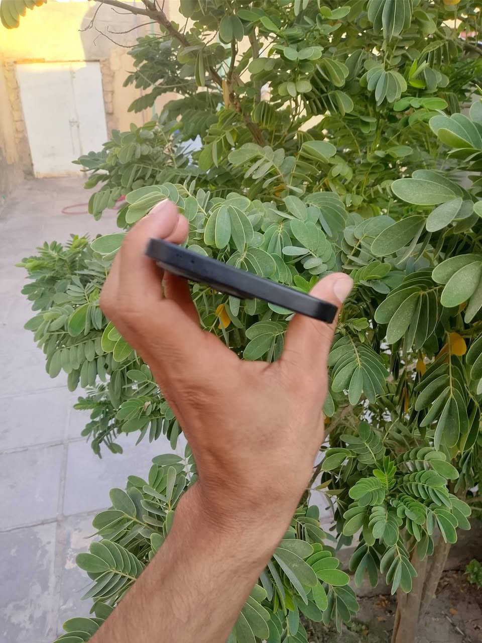 سلام عليكم
هونر x8a جهاز كلش حلو بالمس وبشحن يخبل سلاسه ميصرف ابد ذاكره 128 للبيع ويرهم مراوس


**إذا كنت صاحب هذا الإعلان وتريد حذفه لأي سبب، رجاءا أرسل رسالة إلى الدعم الفني**