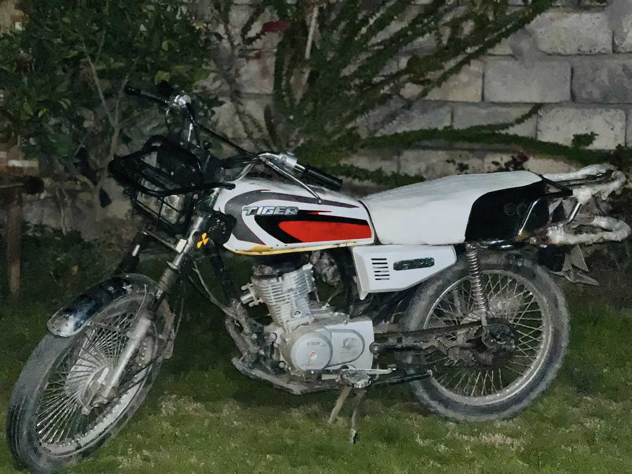 السلام عليكم تايگر 2020وزن ثقيل مابي لا صرف ولا تبخير صوت صراخ و نشط حيل سعر 400وبي مجال للطيبين وحيهم و الخاص مفتوح الف هلا او مراوس بقفاز و فرقك نقد


**إذا كنت صاحب هذا الإعلان وتريد حذفه لأي سبب، رجاءا أرسل رسالة إلى الدعم الفني**