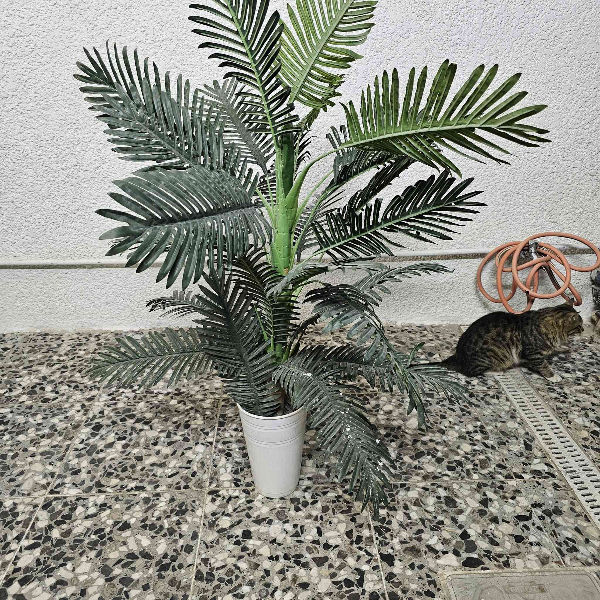 للبيع
قطعه ب١٠    حجم كبير
مكان الشعب


**إذا كنت صاحب هذا الإعلان وتريد حذفه لأي سبب، رجاءا أرسل رسالة إلى الدعم الفني**