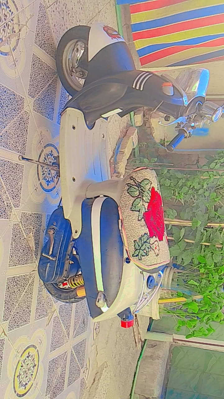 السلام عليكم درجه مصريه مروس بيجي درجه نظيفه مكني سوق الشيوخ كرمت بني سعيد خاص مفتوخ وهذه رقمي ***********
