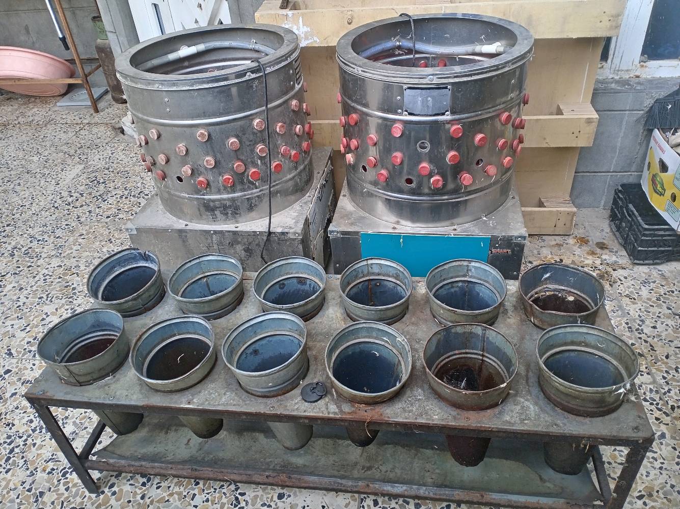 واسط الكوت حي الزهراء مجاور دكتور مثيل 