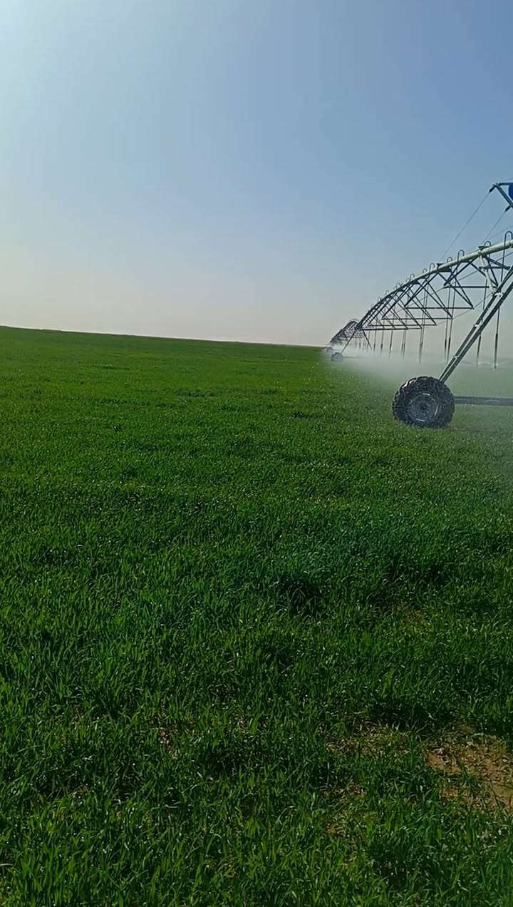 السلام عليكم ارض زراعية نهاية بادية النجف من جهت السماوة مساحة الارض 450 دونم عقد بأسمي مداور بأسم المشتري ثاني يوم تبعد الارض عن الشارع العام طريق نجف سماوة 4 كيلو تبعد الكهرباء عن الارض 1 كيلو محاطة الارض من للاربع جهات مرشات للاستفسار  رقم 📱 الهاتف /***********
