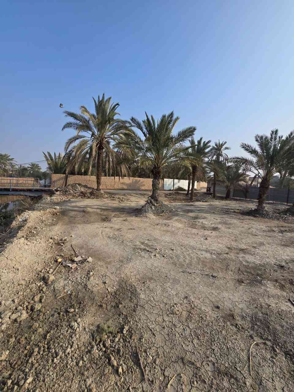 السلام عليكم احبتي الكرام 
بستان مساحه 600م 
..وقف مسجل اصولي.
.موقع يخبل منطقه هدوء 
علا تبليط وبصفه نهر وضهره نهر .
..العنوان ابو الخصيب العوجه ..
.السعر 65 بي مجال 
للاستفسار ***********
