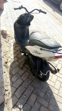 قجمة • بوشة ٥٥ • محربة