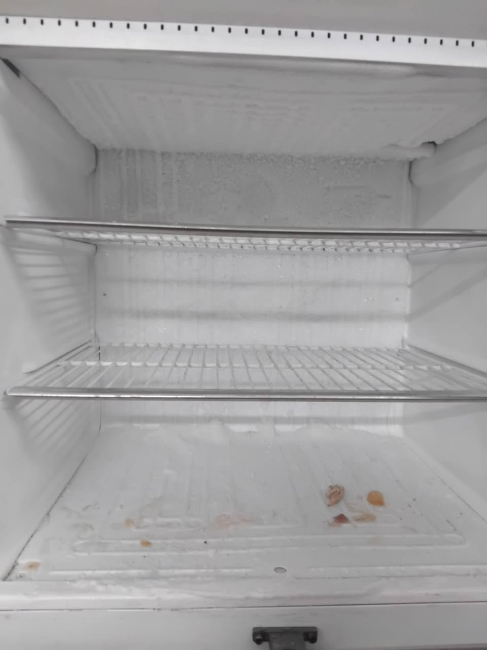 ثلاجة fox حجم 24 قدم سعر 200 بغداد الزعفرانية


**إذا كنت صاحب هذا الإعلان وتريد حذفه لأي سبب، رجاءا أرسل رسالة إلى الدعم الفني**