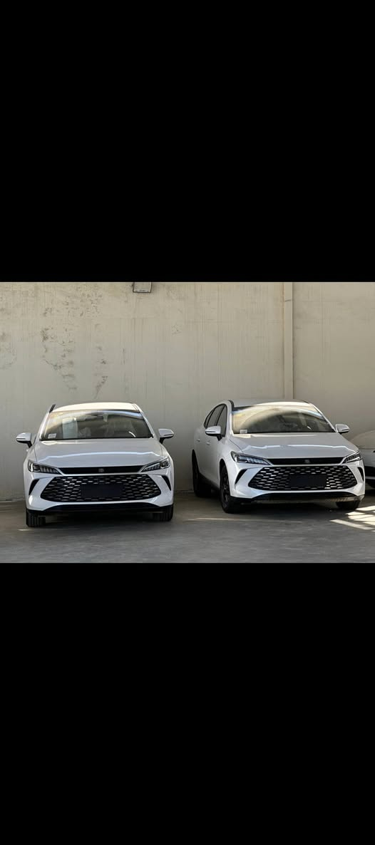 اسعار عرض خاص لمده يومين
دستروير ابيض 
دستروير رمادي 
كن بلاص داخل ابيض 
كن بلاص داخل زيتوني 
سيل 5 ابيض 

من الصين 🇨🇳الى العراق مباشر 
يتوفر جميع انواع سيارات البي واي دي 
من قلب مخازن وساحات السيارات في اليوسفية 
للبيع المفرد والجملة

🥇مجمع معارض مدخل بغداد للسيارات
الاسعار اتصل وتدلل انسب الاسعار 

🔴بي واي دي دسترويرBYD موديل 2025 نار 🔥 
🔴بي واي دي كن بلاص BYD موديل 2025 🔥 
🔴بي واي دي سيل BYD موديل 2025 🔥 

الاسعار جدا مناسبه
        زورونا واهلا وسهلا بكم
يتوفر كافة انواع byd😍
               
للاستفساراكثر اتصل على الأرقام التالية
🥰🥰🥰🥰☎️☎️☎️☎️

عزالدين الغريري
ادهم الغريري
***********
***********
***********
***********
📍الموقع بغداد اليوسفية قرب سيطرة 75
( مجمع معارض مدخل بغداد للسيارات)
(((معارض اليوسفية))) maps/waze 📍#BYD #bydبغداد #العراقيين
#BYDIraq
#يخيي
#متابعة
#BYD#. #بغداد
