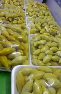 معجنات • تجهيز مجالس • كربلاء
