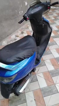 فراشه • فحل • حاوية