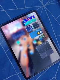 ايباد برو ام١ • ٢٥٦ • مشكلة باللمس