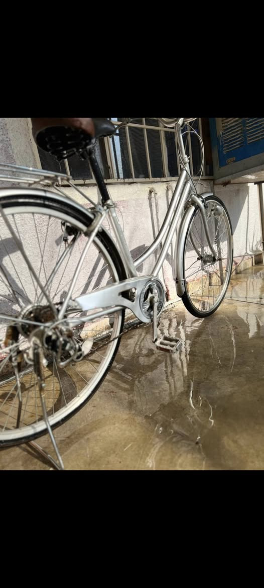 السلام عليكم مكلف ل نشر
باسكيل للبيع ياباني اصلي 
نازل من الحاويه صار شهرين 
كير وحساس حجم 27
وياله بلادي كله عل بلاد 
السعر 110بيه مجال 
شراي تعال خاص مكاني كركوك حي الواسطي


**إذا كنت صاحب هذا الإعلان وتريد حذفه لأي سبب، رجاءا أرسل رسالة إلى الدعم الفني**