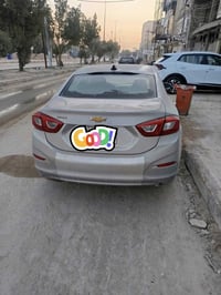 كروز • ٢٠١٩ • ضربة سائق