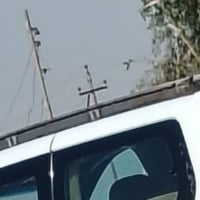 الديوانية السنية • تاير جديد • سوبايه ناصية