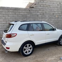 سنتافي • ٢٠٠٩ • ٧ راكب