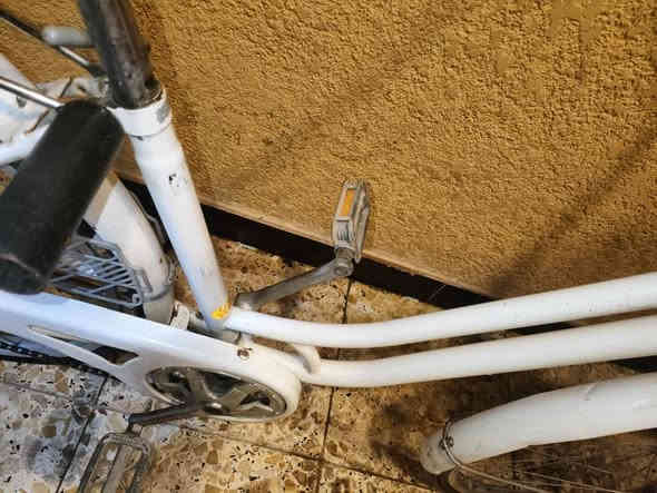 السلام عليكم اخوان بايسكل للبيع سياحي الاصلي شرط الاصلي نضيف حجم 27كامل امكمل بريك كدام شغال ابريك وره شغال بداله شغاله بس يرادلها تقسيم الكشن طبي نضيف مديل
مكاني بصره صبخة العرب 
سعره 65قفل قفل قفل
رقم ***********
