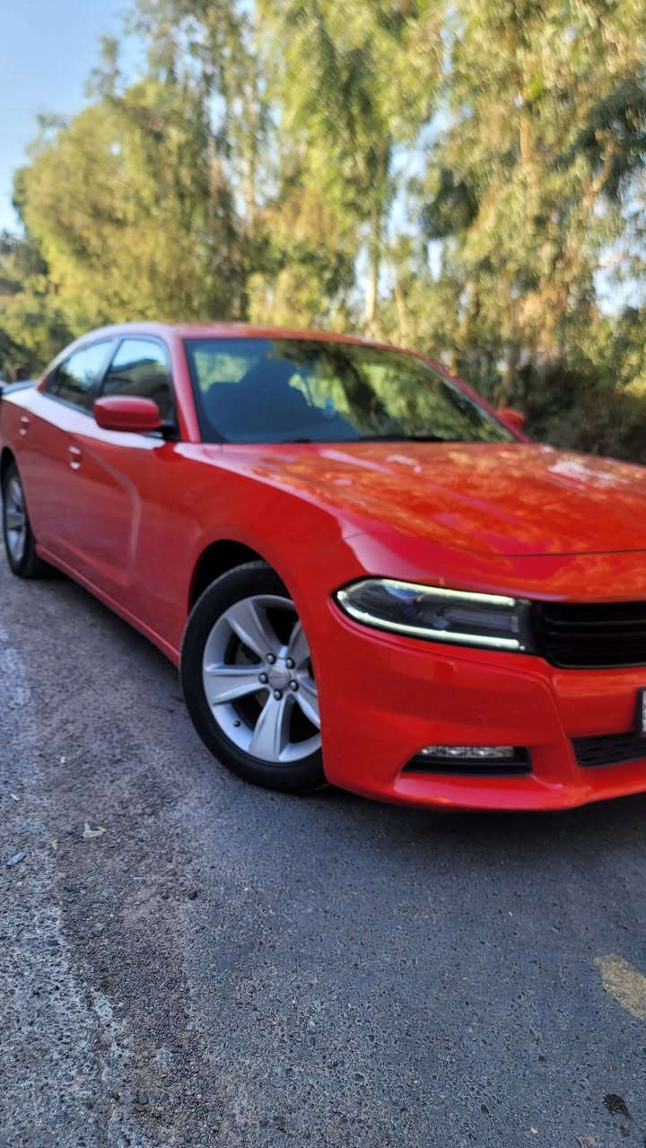 سلام عليكم
للبيع او مراوس جارجر sxt احمر طماطه 🍅
سته سلندر ( كلين تايتل )
بدون قطرت صبغ بيهه بارد قليل 
موديل 2017
رقم سليمانيه بسمي 
سياره جديده ماشيه 113ميل
المواصفات
بصمه ابواب  تشغيل عن بعد 
كشن حاضن تتفئه بالكشنات  كهربائي
شاشه كبيره كامره
تحكم ستيرن
 السياره جديده 
تخم تاير تخم ويل 
ابد ماطالعه خط
سياره
دامه عامه صدر امامي خلفي جديد البارحه شاده تخم تاير جديد كل نقص مابيهه جاهزه من كلشي 
شراء ينتصل ***********مكان بغداد حي اور
