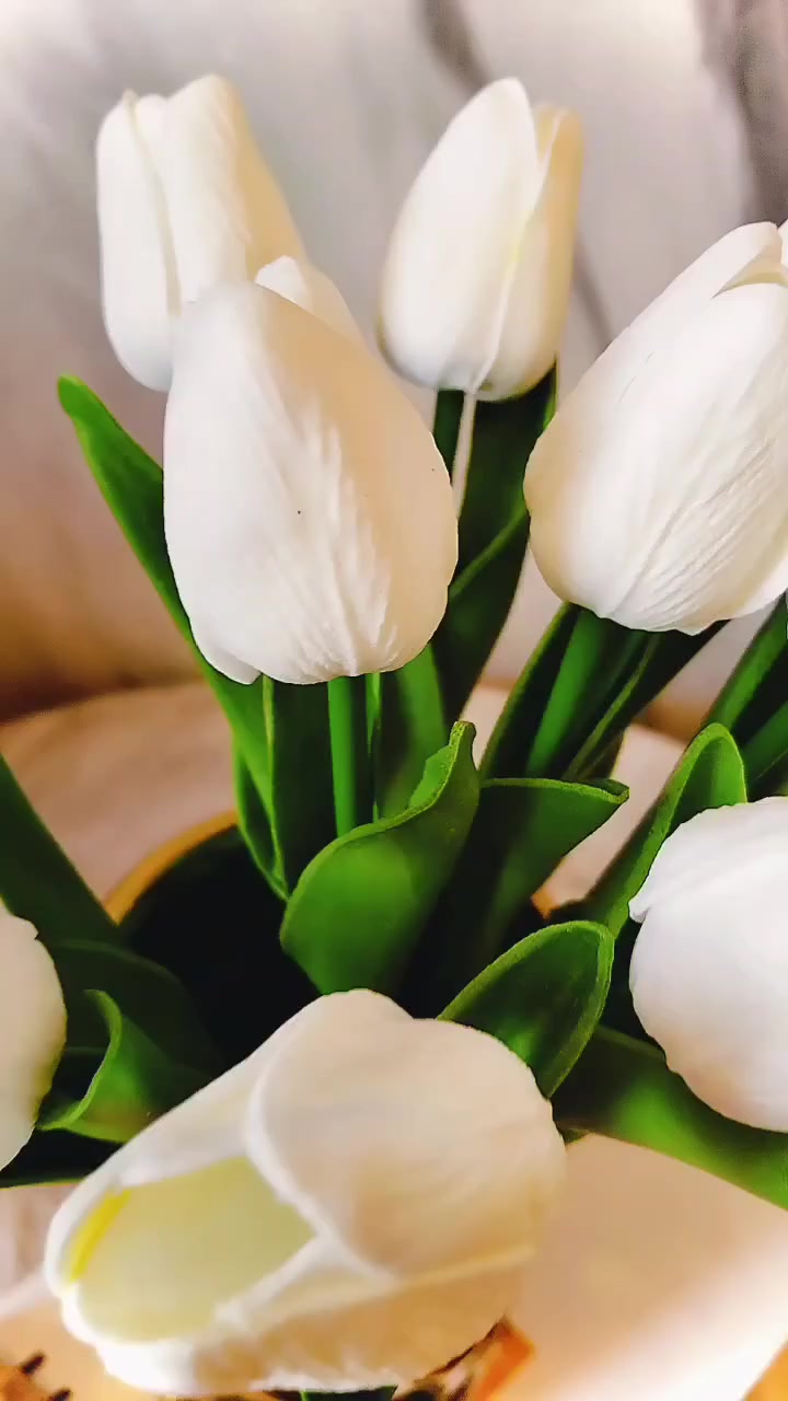 السعر 🤏


**إذا كنت صاحب هذا الإعلان وتريد حذفه لأي سبب، رجاءا أرسل رسالة إلى الدعم الفني**