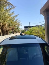 دبلو • ٢٠١٩ • رقم بابل