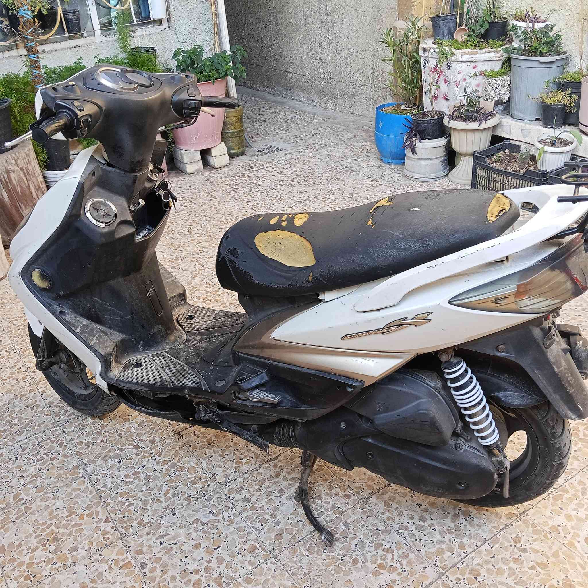 سلام عليكم. سكنس فحل كوري نوزل. مكينه اتخبل كامبه مكمله نكره سلف تاخذها تدعيلي الله شاهد من الشغل للبيت منزلها بيدي صار الها 8 اشهر. بيها شويه صوت خشن. ونقص بريك وره. وهاهيه مكينه مامفتوحة 

سعر 500 قفل قفل قفل

***********
