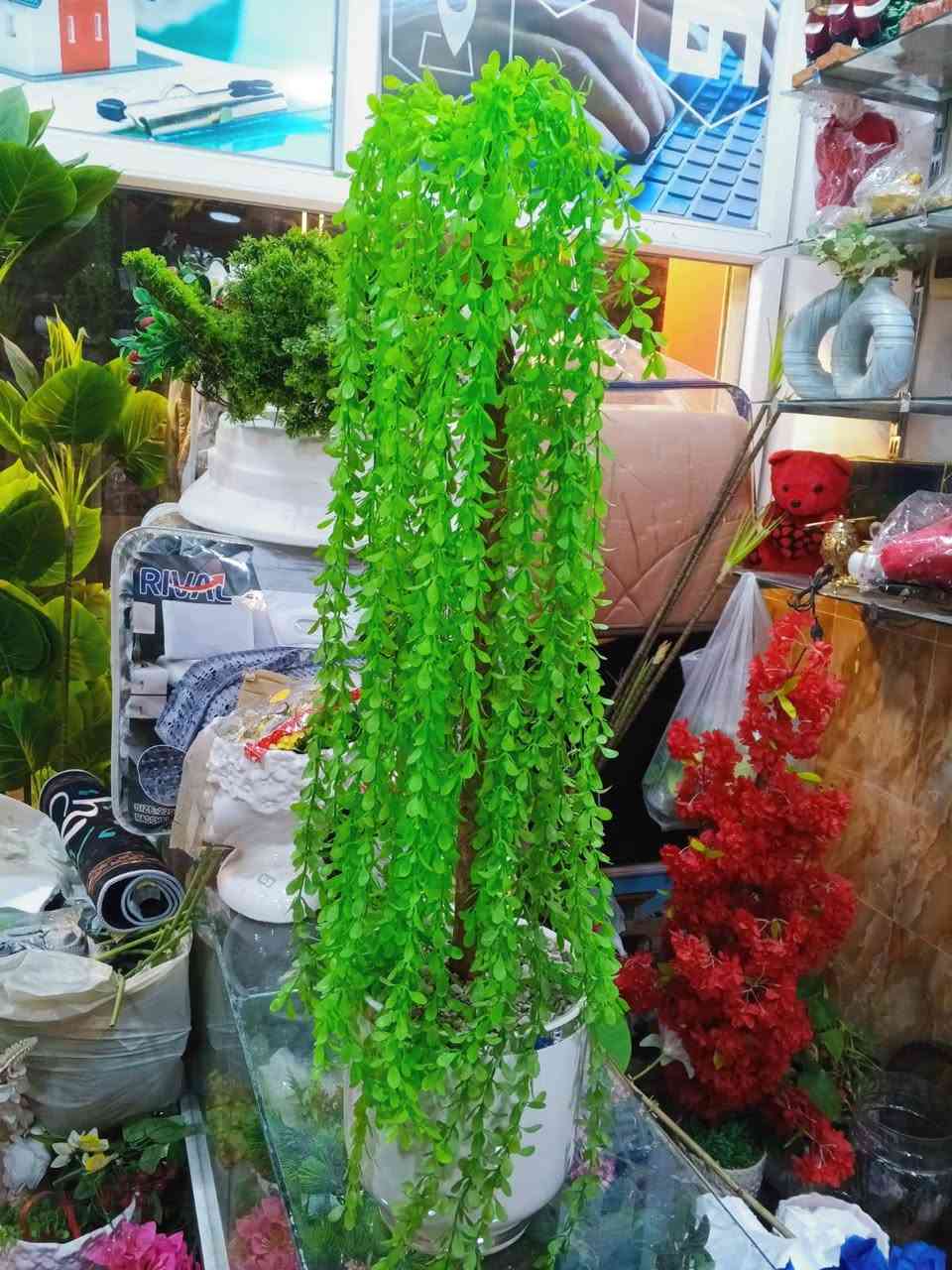 💐💐💐💐💐💐


**إذا كنت صاحب هذا الإعلان وتريد حذفه لأي سبب، رجاءا أرسل رسالة إلى الدعم الفني**