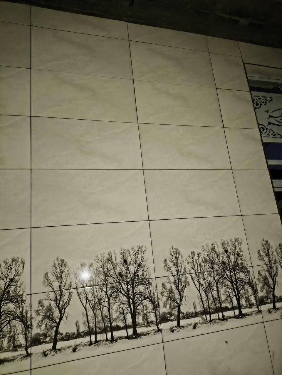 خلفة سيراميك ارضي جداري بورسلين لوح120×30
جف قيم ماده شغل درجه اولى 
ليزر..  صور بصيطه من العمل 
الاتصال بالرقم متوفر بيه واتساب 
‏‪***********‬‏
