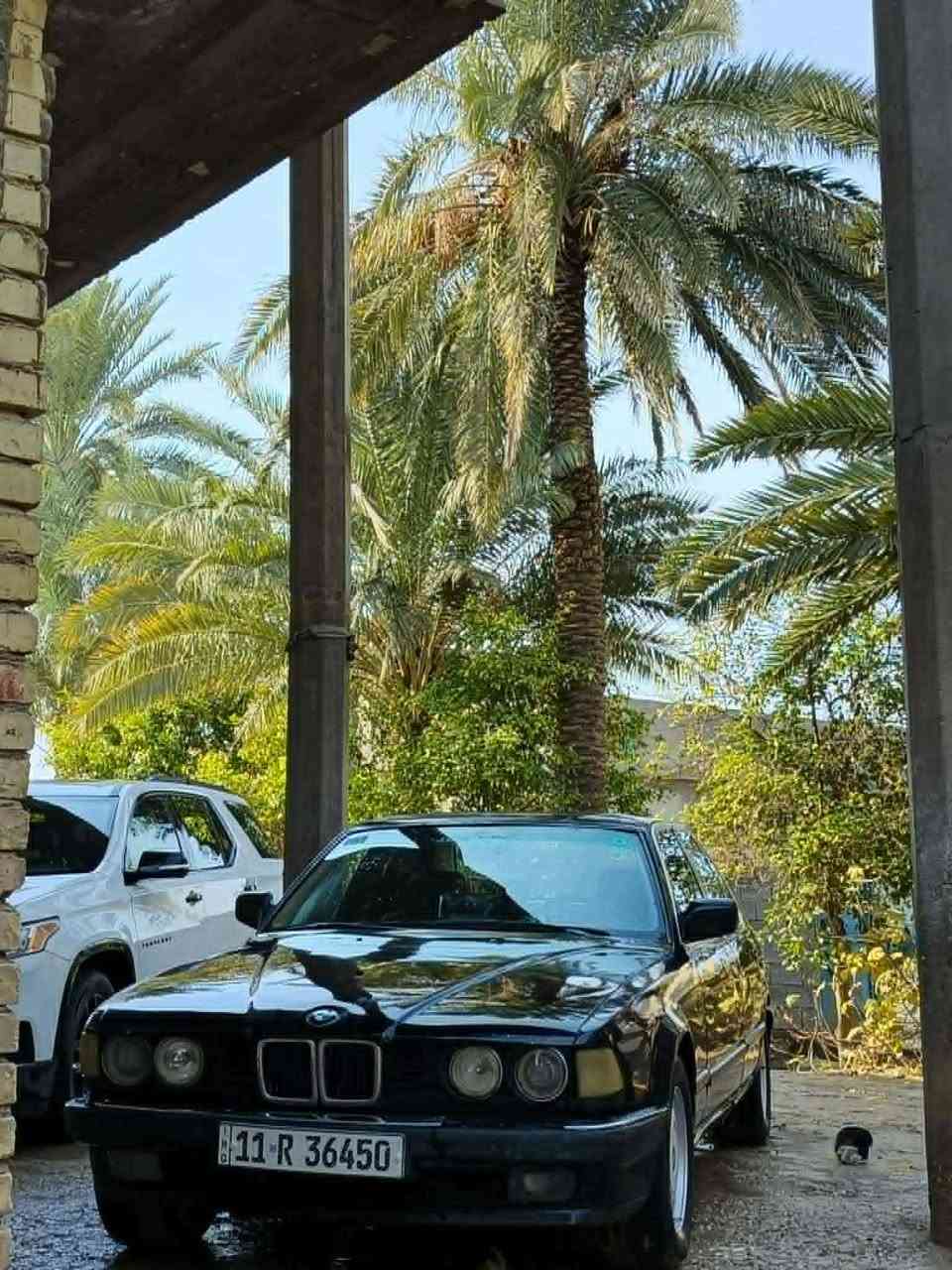 السلام عليكم بي ام موديل 88 كير عادي مكينه مفتوح سياره نظيفه وحلوه تبريد عوزه بس كهربائي تايرات جدد صدر امامي خلفي % سياره باسمي رقم انجليزي السياره ب 30 وبيها مجال مكان واسط العزيزيه ***********
