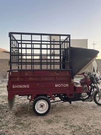 سلام ستوته للبيع 2022 رقم صلاح الدين السعر 2600 وبيهه مجال بسيط الشراب...