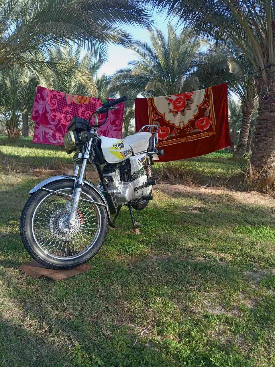 دراجه للبيع موديل 24 دراجه كفاله عامه انظف من الصوره دراجه محرك ما مفتوح اوراق كامله كهربائيات كلها شغاله مكان ديوانيه الدغاره اللي ما عنده رصيد بس يرمش انا اتصل علي عندي خدمه السعر 600 وبيها مجال بسيط كلش رقم الهاتف ***********
