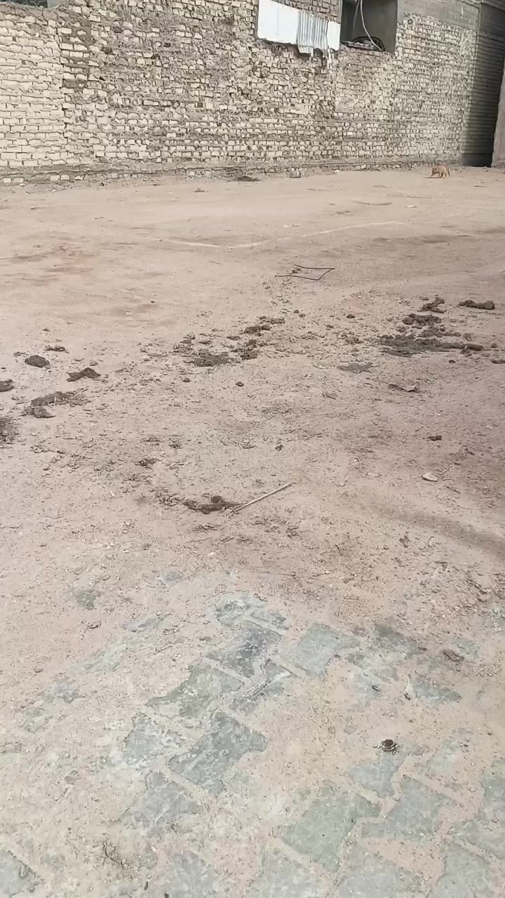 قطعة أرض للبيع حي الغري المساحة 200 شارع 20 وعلى ساحة السعر المطلوب 510
للاستفسار اتصال او مراجعة مكتب الروان سايدين سلام غري مجاور انشائية الجاكوج 

0781898139/***********
