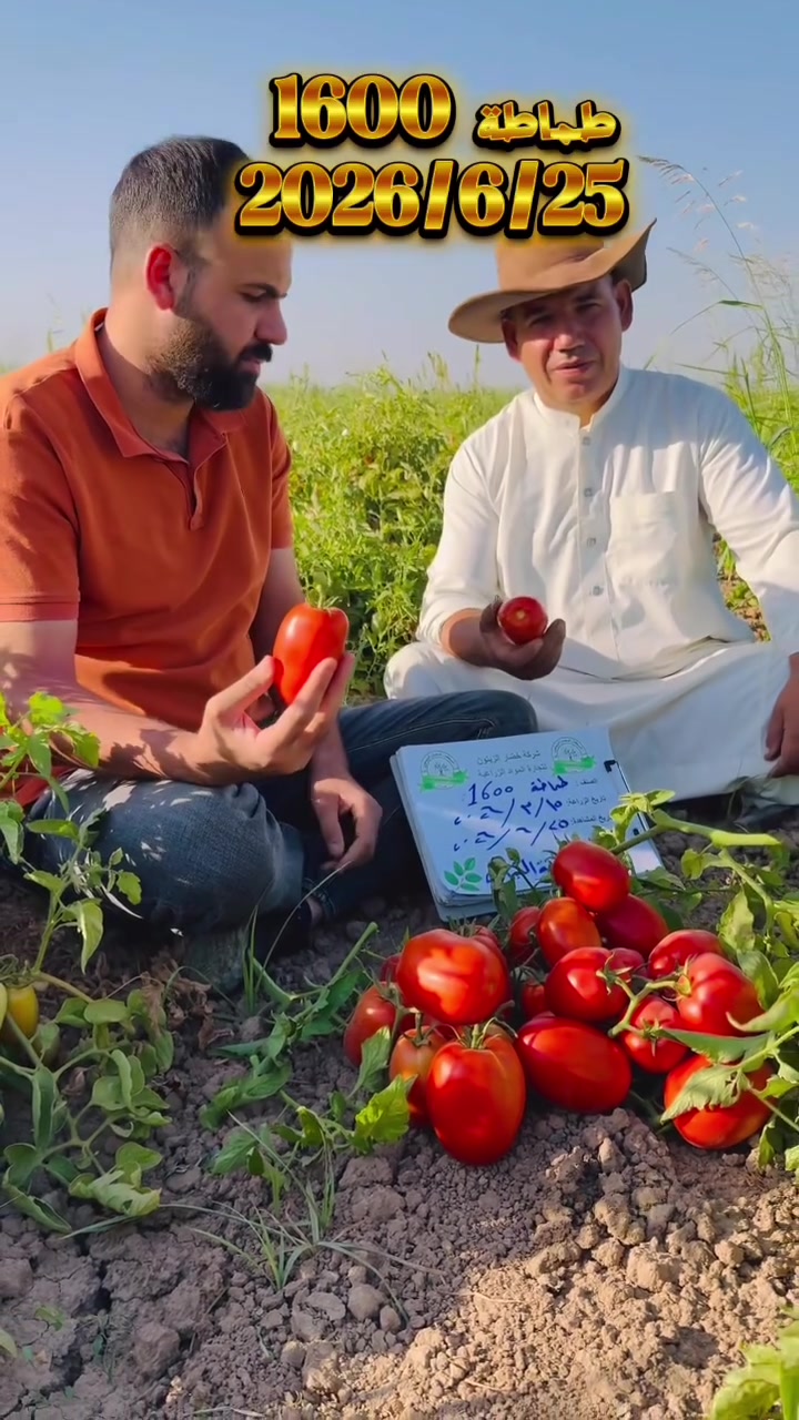 طماطة 1600


**إذا كنت صاحب هذا الإعلان وتريد حذفه لأي سبب، رجاءا أرسل رسالة إلى الدعم الفني**