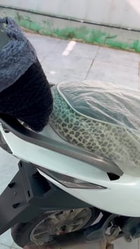 ماكس مضلع • محرك ناعم • كفاله عامه