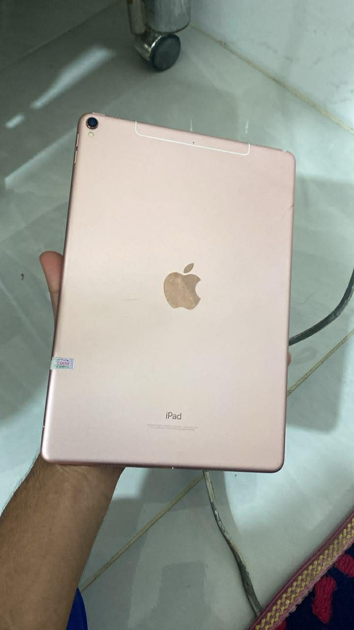 ايباد ١٠برو ذ٢٥٦ للبيع او مراوس باابفون ١٢ او ١٣ مبدل بيه قطعه مكان الانبار الكرمه


**إذا كنت صاحب هذا الإعلان وتريد حذفه لأي سبب، رجاءا أرسل رسالة إلى الدعم الفني**