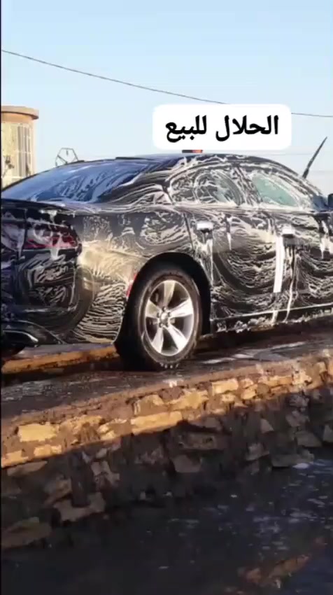 السلام عليكم 
شارجر 16 
ترهم بيع ومراوس ب سورنتو او دورنكو
العنوان المثنى


**إذا كنت صاحب هذا الإعلان وتريد حذفه لأي سبب، رجاءا أرسل رسالة إلى الدعم الفني**