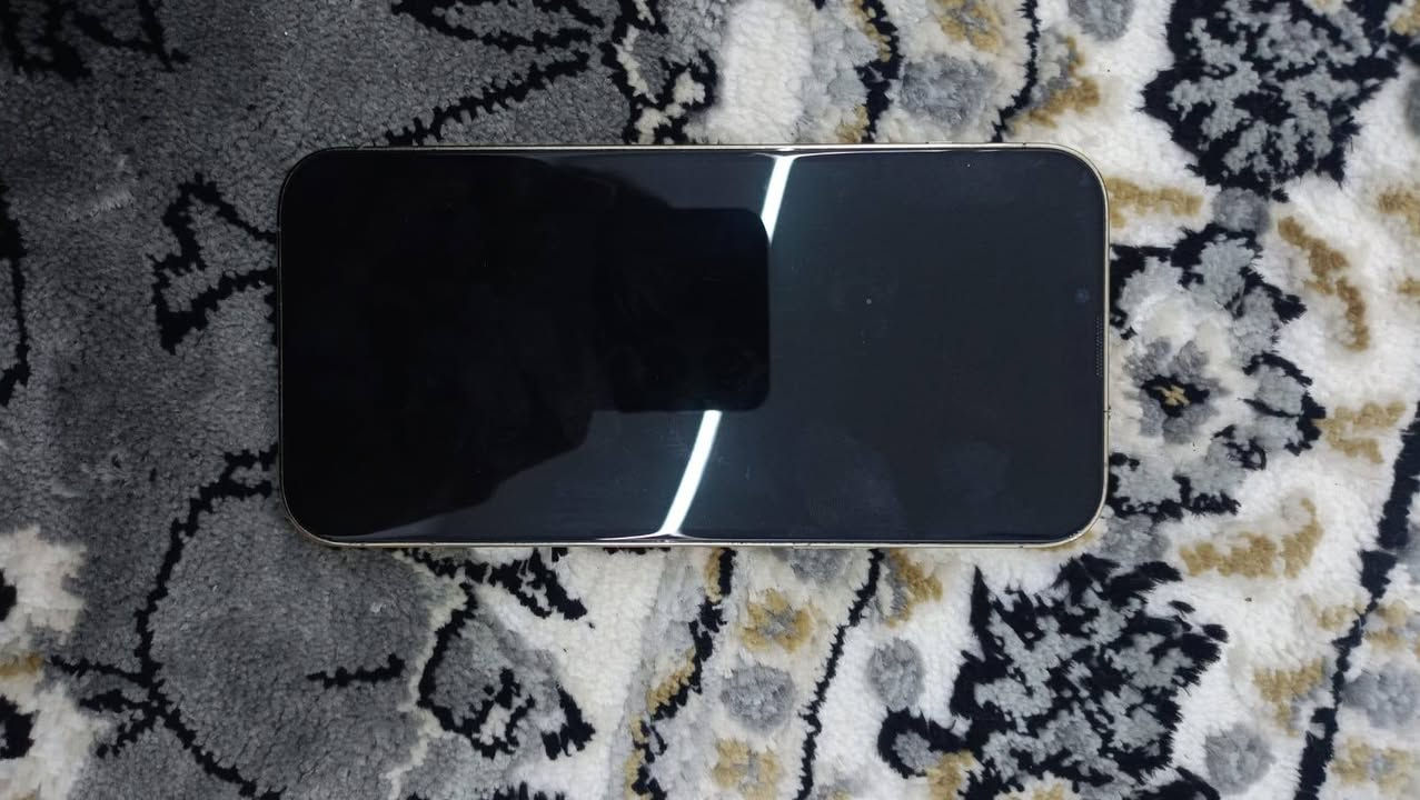 جهاز ايفون 13 برو ماكس ذاكره 256 فقط مبدله بطاريه ونضيف مثل ما موضح بلصور


**إذا كنت صاحب هذا الإعلان وتريد حذفه لأي سبب، رجاءا أرسل رسالة إلى الدعم الفني**