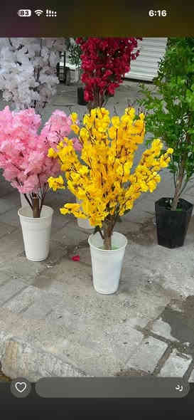 محمد ورد بغداد شورجه عماره الضمان ***********
