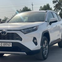 راف فور ٢٠٢٤ • هايبرد وارد امريكي • مرقم بغداد